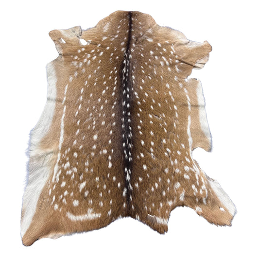 Axis Deer Skin (scratches/ a few holes) Size: 39x30" Axis-760