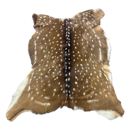 Axis Deer Skin (neck has a bit of thinning hair. HUGE SIZE!) Size: 43x49" Axis-771