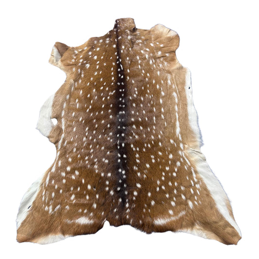 Axis Deer Skin (some holes) Size: 47x35" Axis-772