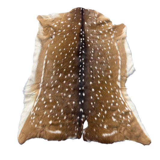 Axis Deer Skin (some holes) Size: 42x33" Axis-774