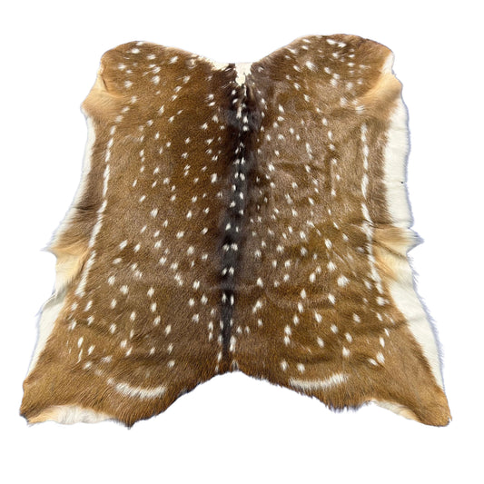 Axis Deer Skin (1 bald area at the very top) Size: 41x36" Axis-783