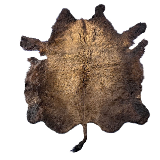 Bison Skin Rug Size: 8x8 feet # 15 - Real Bison Skin Robe
