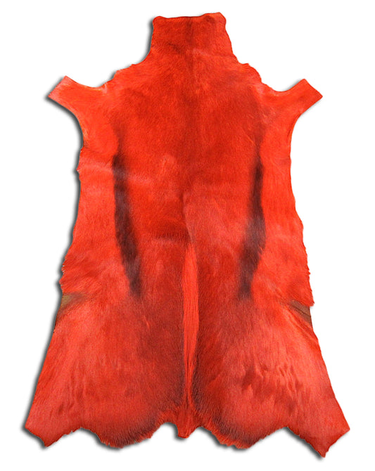 Peau de Springbok teintée en orange brûlé Grande peau de Springbok africain teintée en orange brûlé