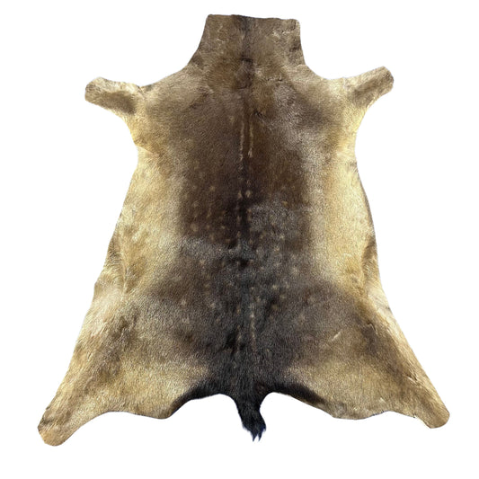 Fallow Deer Skin D-746
