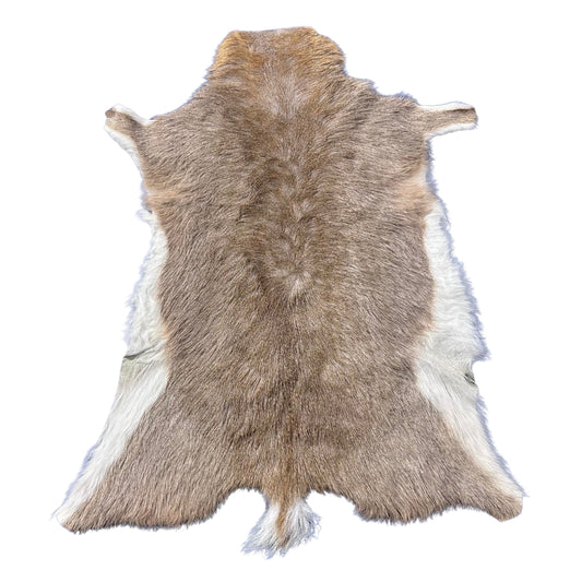 Mountain Reedbuck Skin Size: 34x28" D-794