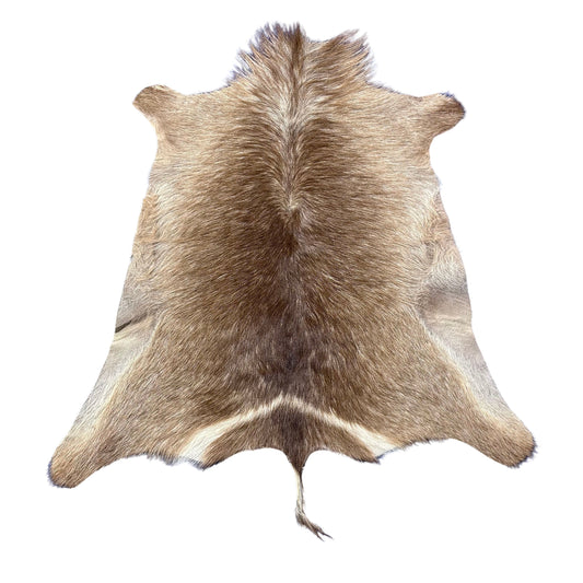 Waterbuck Skin Size: 51x45" D-955