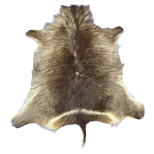 Waterbuck Skin Size: 54x47" D-956