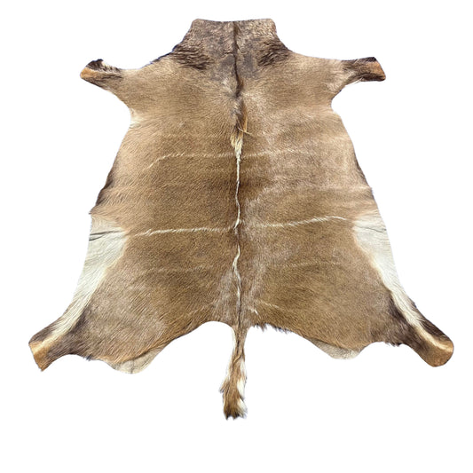 Kudu Skin Rug (Tail is 12") Real Greater Kudu Antelope Hide Size 61x59" D-961