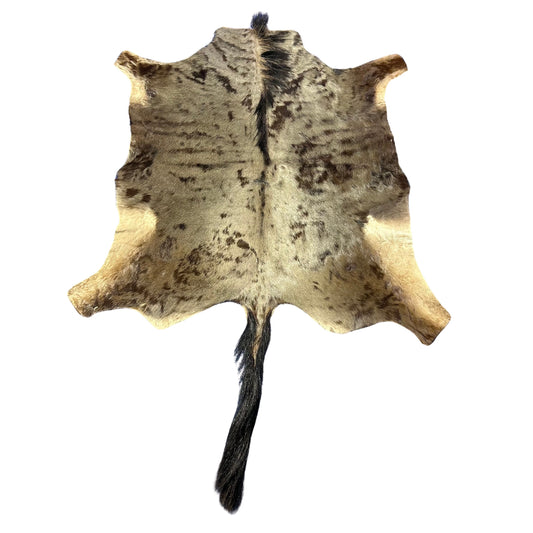 Wildebeest Skin (Tail: 26") Size: 54x51" D-967 Real African Gnu Hide