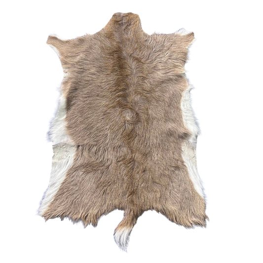 Mountain Reedbuck Skin Size: 34x24" D-976