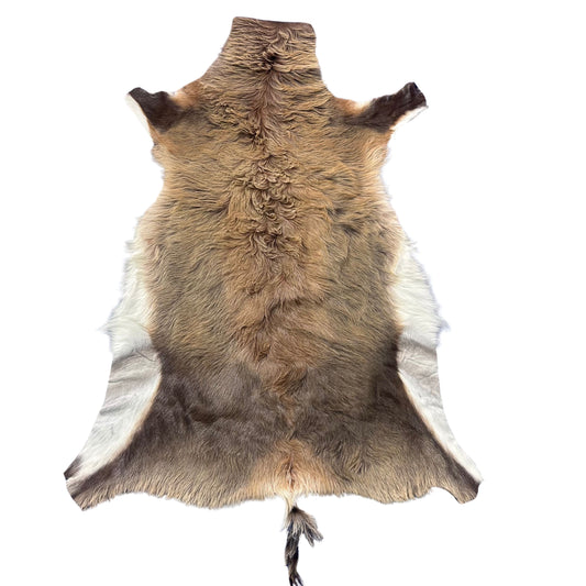 Juvenile Blesbok Skin - Deer Leather Rug Deer skin for pillows, wallets, hand bags, deer floor rug - Blesbok Hide Young Blesbok Skin D-984