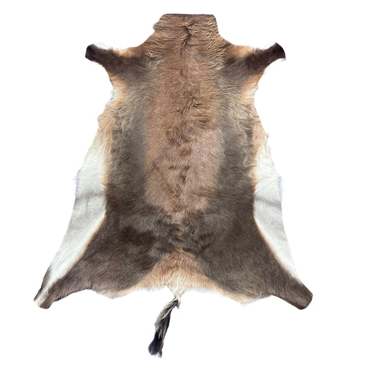 Juvenile Blesbok Skin - Deer Leather Rug Deer skin for wallets, hand bags, deer floor rug - Blesbok Hide Young Blesbok Skin D-985