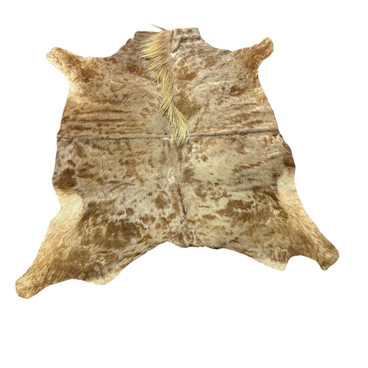 Golden Wildebeest Skin B Grade (holes and a bit stiff/No Tail) Size: 58x56 inch F-003