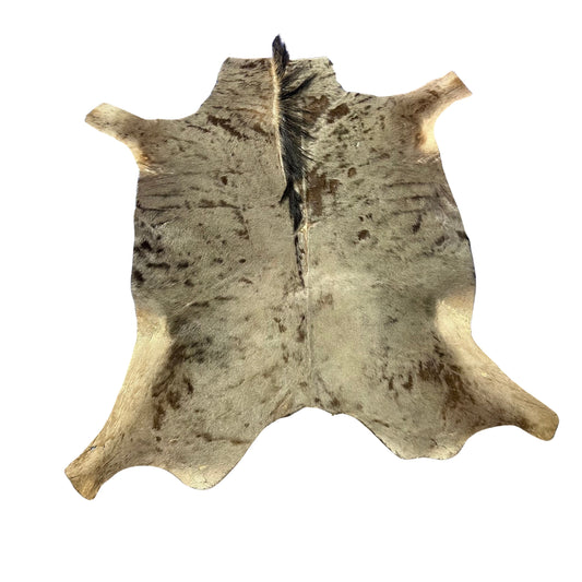 Blue Wildebeest Skin (holes and a bit stiff/No Tail) Size: 59x56 inch F-005