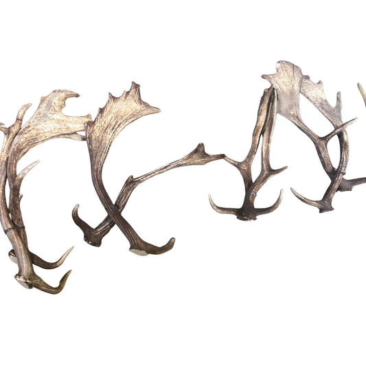 Fallow Deer Horn Sets (26 pairs/left and right) Horn Antlers Arts and Crafts Rustic