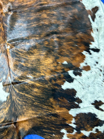Gorgeous HUGE Tricolor Cowhide Rug Size: 8x6.7 feet D-230