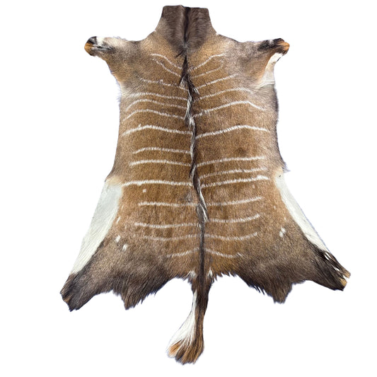Male Nyala Skin - Deer Leather Rug -Deer skin for pillows, wallets, hand bags, deer floor rug - Male Nyala Hide - Nyala Antelope Skin