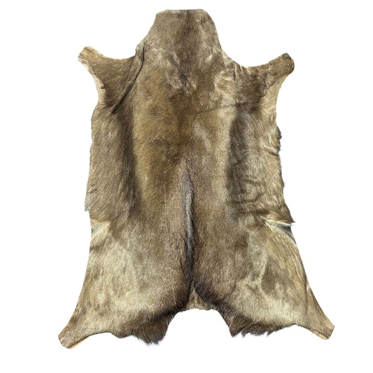 Naturally Black Springbok Skin- Antelope Hide L Size: 34X26 inch