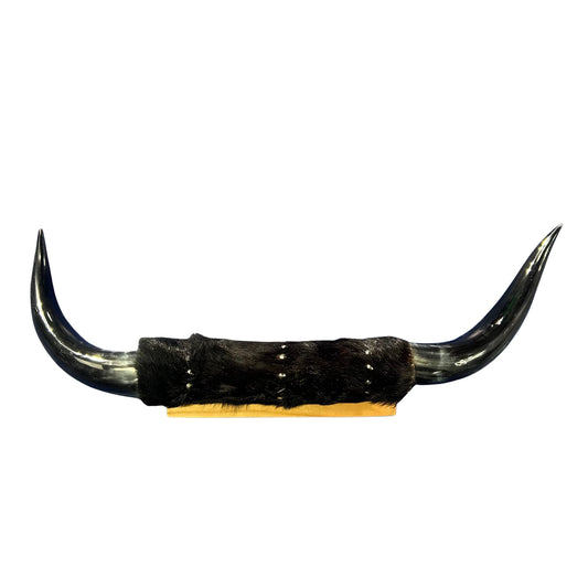 Polished Cow Horn Mount - 31" Wide Horns Rustic Decor Arts and Crafts Longhorn, Horn Mount