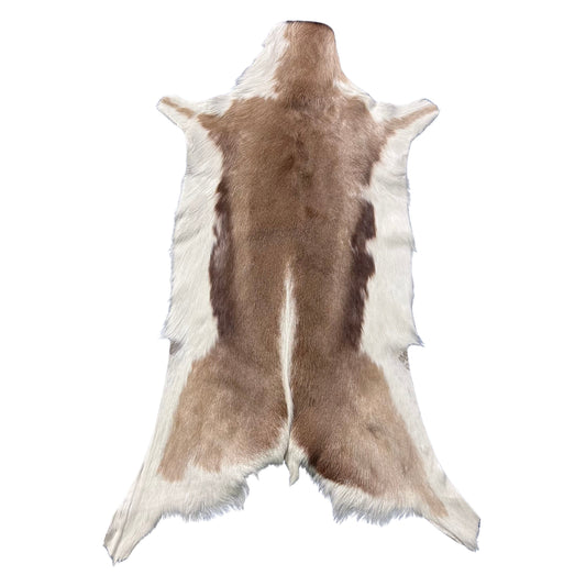 Unique Springbok Hide – Real African Antelope Springbok Leather Skin Rug (37 X 22") F-020