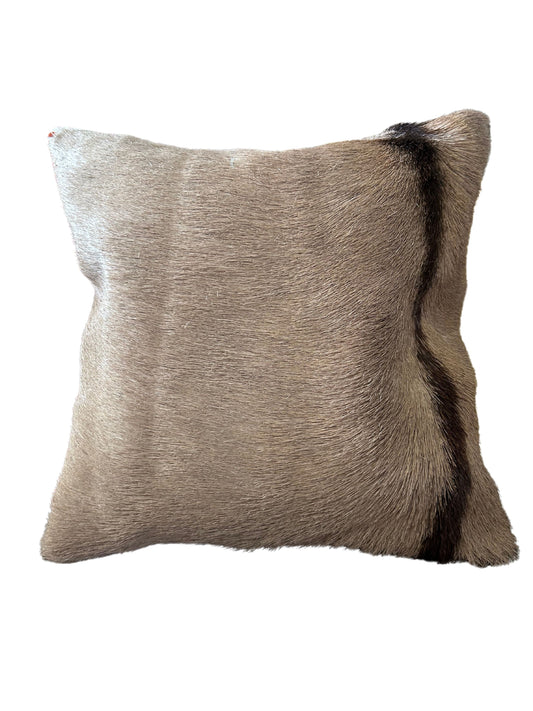17X17” Gemsbok Pillow Case