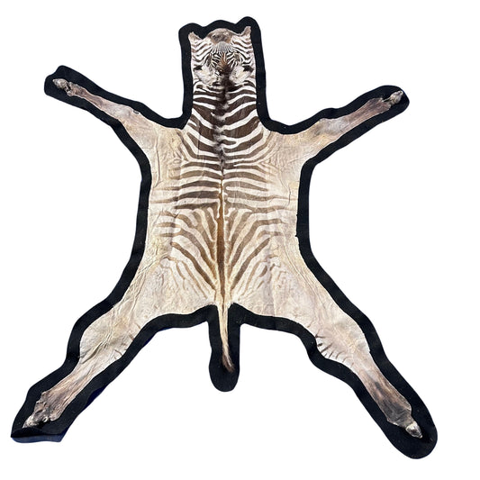 Real Zebra Skin Baby Size Real Zebra Hide # 44 SMALL Size: 40X 43" (tail is 9")