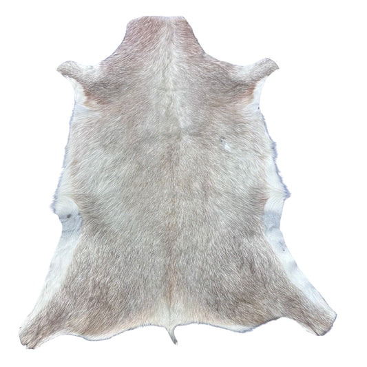 White Blesbok Skin - Deer Leather Rug Deer skin for wallets, hand bags, deer floor rug - Blesbok Hide White Blesbok Antelope Skin