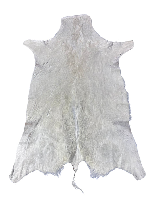 White Springbok Skin- Naturally White Springbok Antelope Skins Size: 34X26 inch