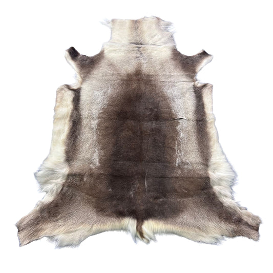 Reindeer Skin (White and Brown) Size: 57x48" Z-184