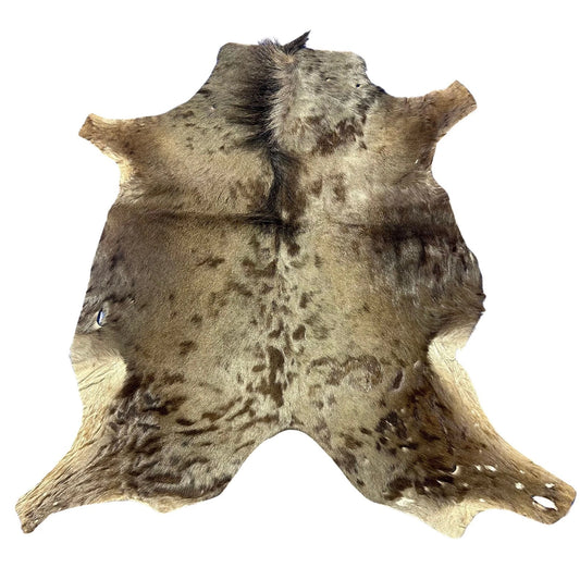 Wildebeest Skin (Holes and Scars/No Tail) Size: 49x45" D-944