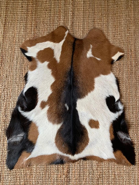 A-2063 Peau de chèvre tricolore tachetée - Taille 38 po x 31 po