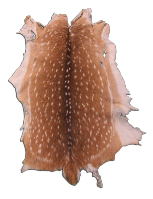 Axis Deer Skin Rug (a few holes) - Size: 37x24 inches Axis-643