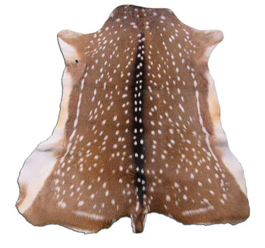 Gorgeous Top Grade Axis Deer Skin (perfect tanning/ has nice tail/ small hole) - Size: 44x37" Axis-694