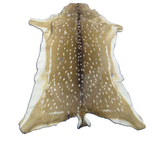 2nd Grade Axis Deer Skin (1 small hole/some scratches) - Size: 46x36" Axis-703