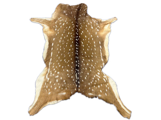 Peau de cerf Axis de deuxième qualité (quelques trous/éraflures) Taille : 52x30" Axis-719