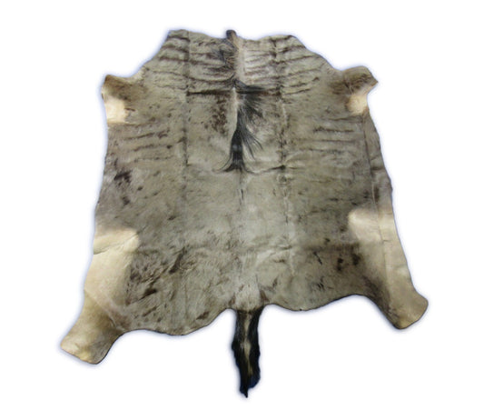 Wildbeest Skin Rug (tail is 12") Size: 5x5 feet C-1785