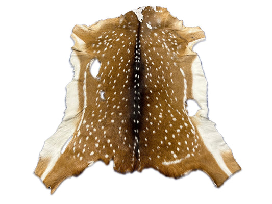2nd Grade Axis Deer Skin (3 big holes) Size: 42x39" C-1865