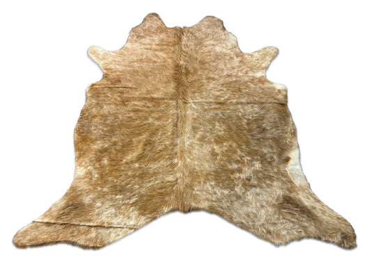 Gorgeous Long Hair Beige Brindle Cowhide Rug (two tone) Size: 6x6.2 feet C-1883