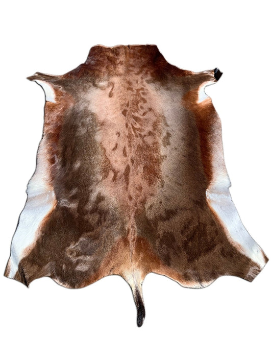 African Blesbok Antelope Skin Deer skin buck skin, African Antelope Buck Skin