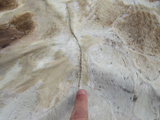 Tapis en peau de vache à imprimé cerf Axis Taille : 6 1/2' X 6' Tapis en peau de vache à imprimé cerf marron/blanc O-560