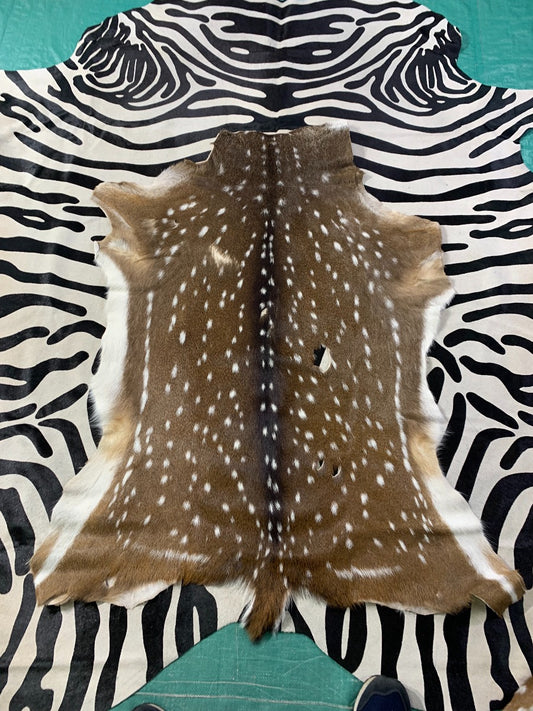 Tapis en peau de cerf Axis - Qualité rembourrage - Peau de cerf Cheetal - 48X41"