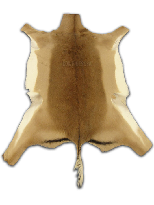 Impala Antelope Hide - Real African Antelope Skin