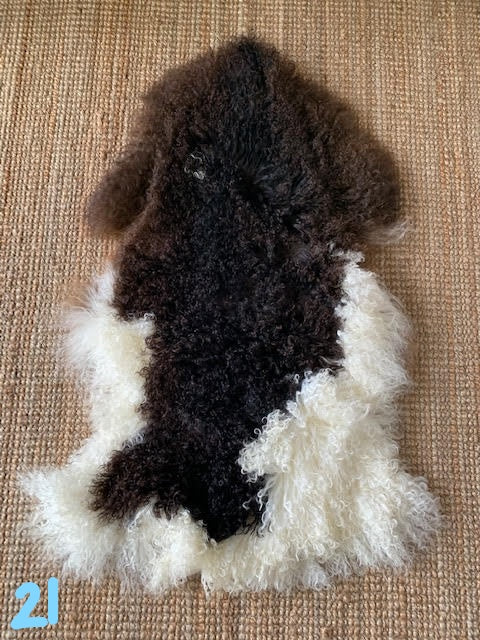 Tibetan Lamb Skin - Spotted Mongolian Sheep Skin - Brown and White Sheep Skin