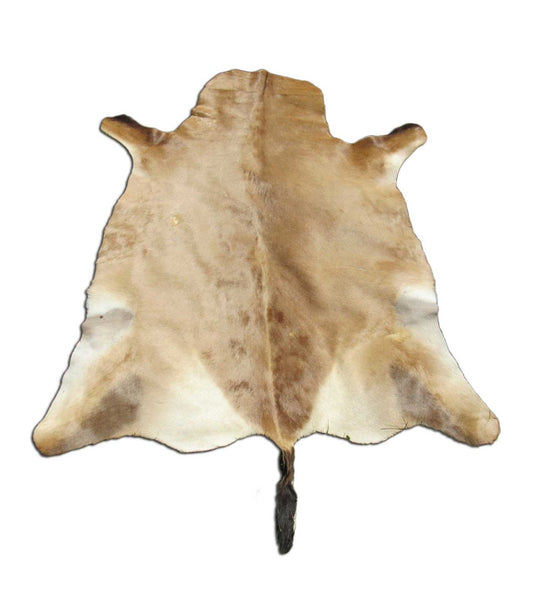 Taille de la peau de bubale : 57 "x 49" O-1036