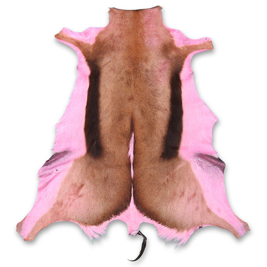 Peau de Springbok rose antilope africaine grande taille