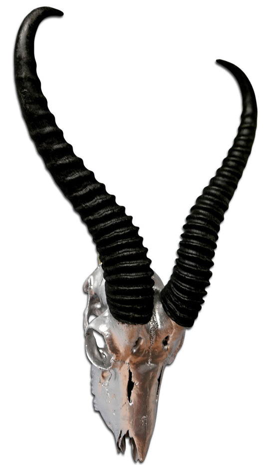 Real Springbok Skull Silver Spray Painted African Antelope Horns/Antelope Skull
