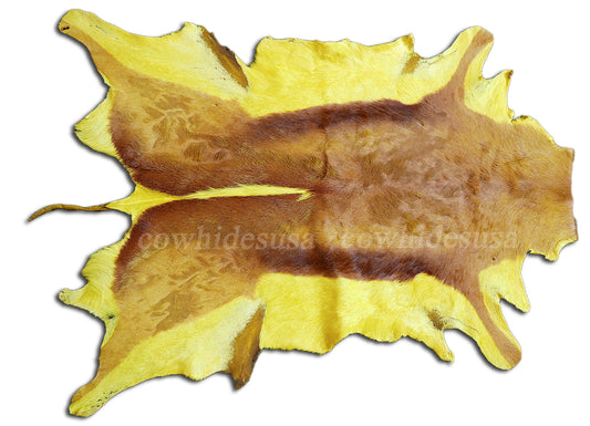 Dyed Yellow Springbok Skin African SPRINGBOK Skin African antelope