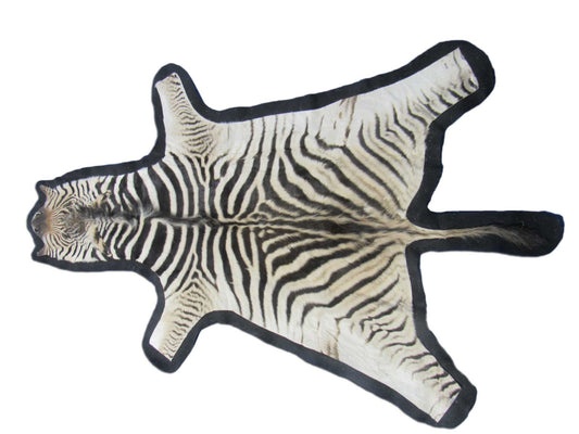 Tapis en peau de zèbre véritable - Taille juvénile 63X36 pouces - Nouveau MINI Baby Burchell's Zebra Hide #117