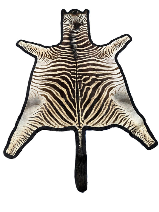 Belle qualité ! Peau de zèbre feutrée (queue de 27") Taille : 7x6 pieds # 121