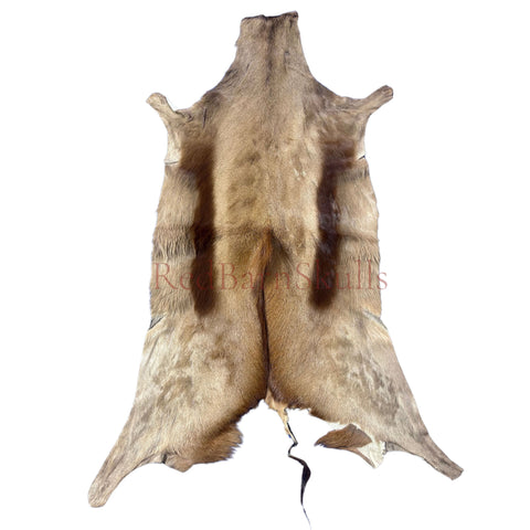 Copper Springbok Skin - Deer Leather Rug Deer skin for pillows, wallets, hand bags, deer floor rug Naturally Copper Springbok Hide